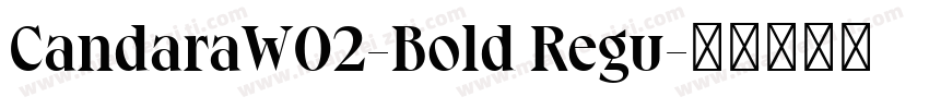 CandaraW02-Bold Regu字体转换